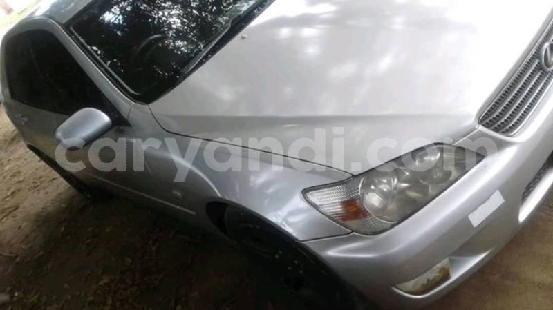 Big with watermark 55661646 218969359082304 4221256259812196352 o