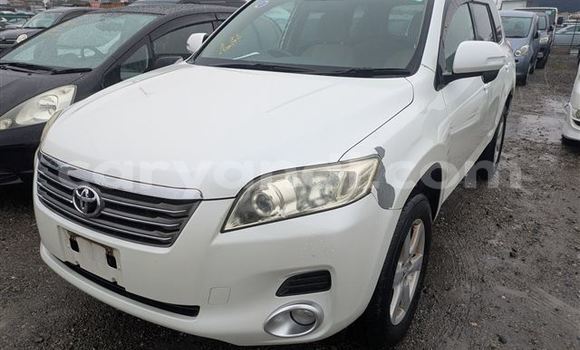 Buy Used Toyota Vanguard White Car in Lusaka in Zambia Buy Used Toyota Vanguard White Car in Lusaka in Zambia