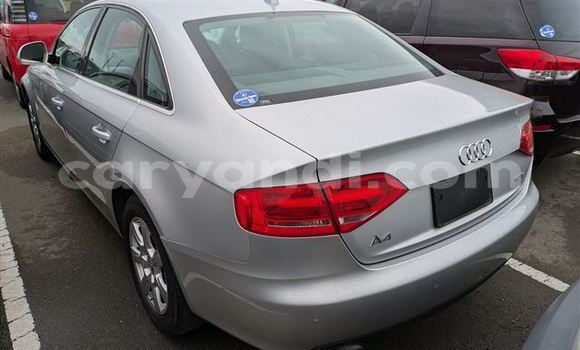 Tenga Tsaru Audi A4 Sirivha Mota in Lusaka in Zambia Tenga Tsaru Audi A4 Sirivha Mota in Lusaka in Zambia