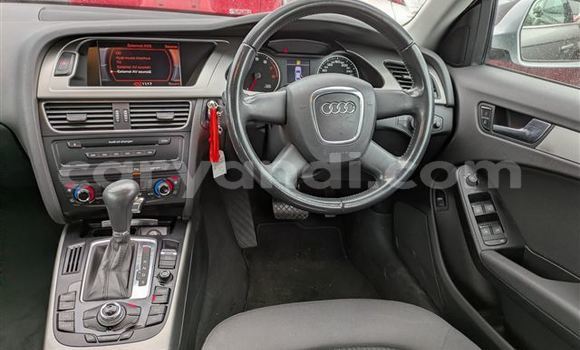 Tenga Tsaru Audi A4 Sirivha Mota in Lusaka in Zambia Tenga Tsaru Audi A4 Sirivha Mota in Lusaka in Zambia