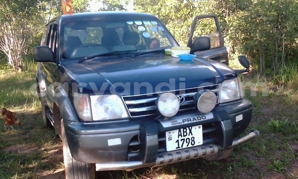 Tenga Tsaru Toyota Land Cruiser Prado Bhuruu Mota in Lusaka in Zambia Tenga Tsaru Toyota Land Cruiser Prado Bhuruu Mota in Lusaka in Zambia