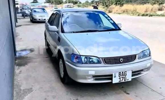 Buy Used Toyota Corolla Other Car in Lusaka in Zambia Buy Used Toyota Corolla Other Car in Lusaka in Zambia
