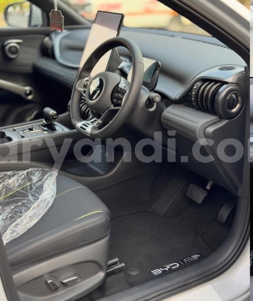 Big with watermark byd atto3 zambia lusaka 31277