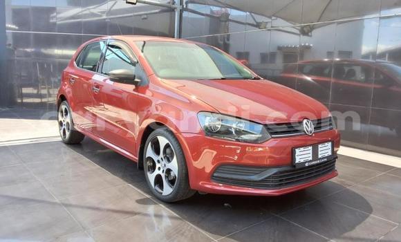 Buy Used Volkswagen Polo Red Car in Lusaka in Zambia