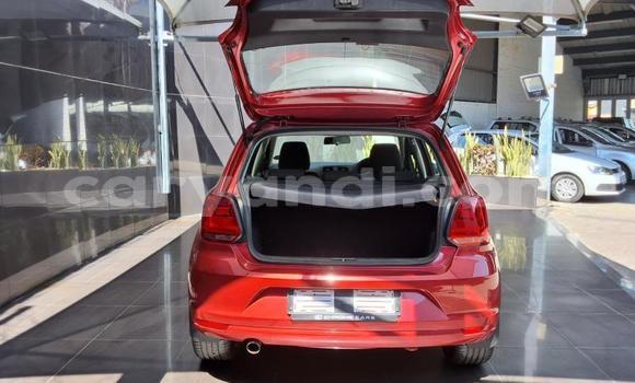 Buy Used Volkswagen Polo Red Car in Lusaka in Zambia Buy Used Volkswagen Polo Red Car in Lusaka in Zambia