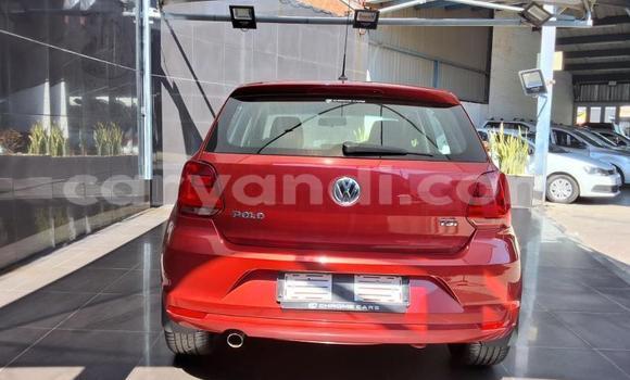 Buy Used Volkswagen Polo Red Car in Lusaka in Zambia Buy Used Volkswagen Polo Red Car in Lusaka in Zambia