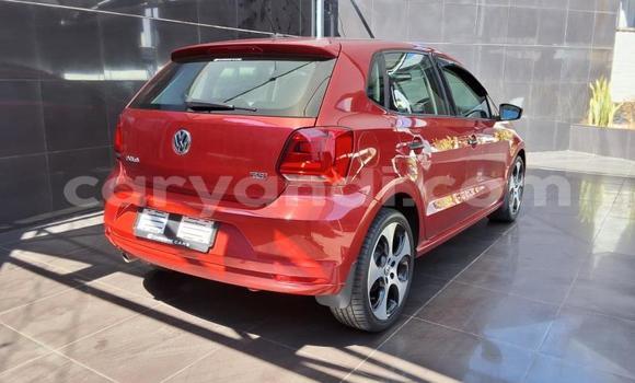 Buy Used Volkswagen Polo Red Car in Lusaka in Zambia Buy Used Volkswagen Polo Red Car in Lusaka in Zambia
