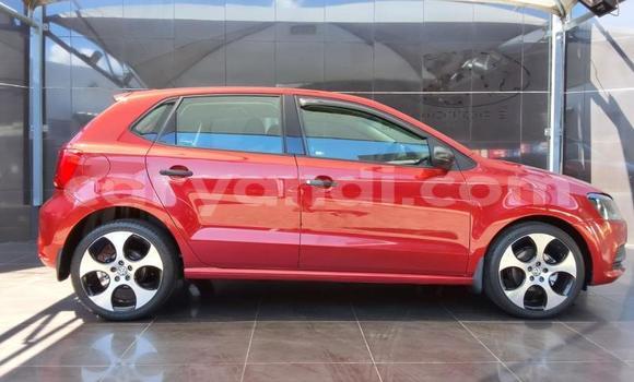 Buy Used Volkswagen Polo Red Car in Lusaka in Zambia Buy Used Volkswagen Polo Red Car in Lusaka in Zambia