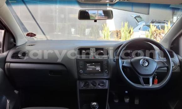 Buy Used Volkswagen Polo Red Car in Lusaka in Zambia Buy Used Volkswagen Polo Red Car in Lusaka in Zambia