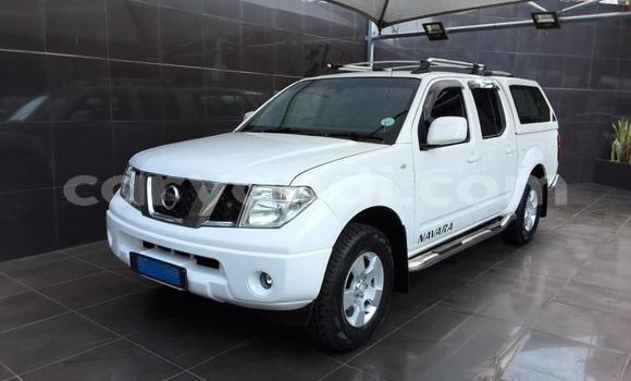 Buy Used Nissan Navara White Car in Lusaka in Zambia Buy Used Nissan Navara White Car in Lusaka in Zambia