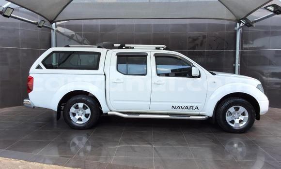 Buy Used Nissan Navara White Car in Lusaka in Zambia Buy Used Nissan Navara White Car in Lusaka in Zambia