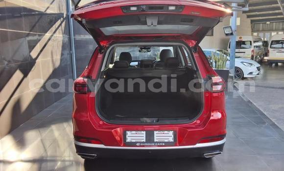 Buy Used Chery Tiggo 7 pro Red Car in Lusaka in Zambia Buy Used Chery Tiggo 7 pro Red Car in Lusaka in Zambia
