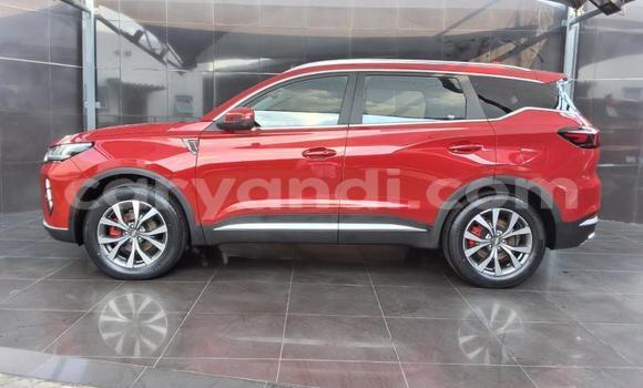 Buy Used Chery Tiggo 7 pro Red Car in Lusaka in Zambia Buy Used Chery Tiggo 7 pro Red Car in Lusaka in Zambia