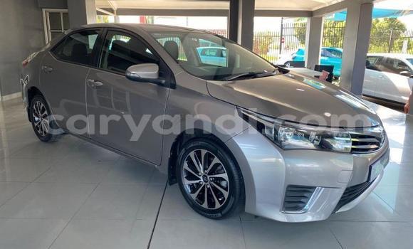 Buy Used Toyota Corolla Brown Car in Livingstone in Zambia