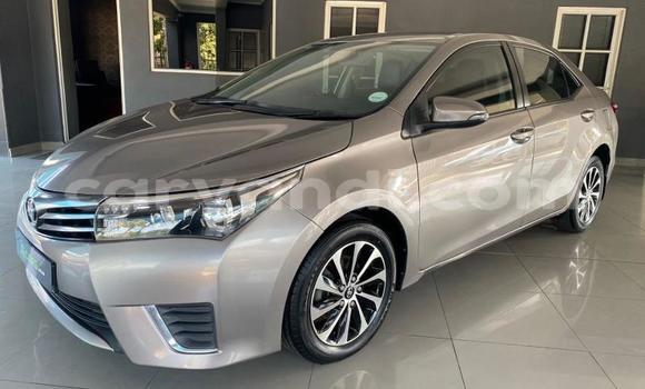 Acheter Occasion Voiture Toyota Corolla Marron à Livingstone, Zambie Acheter Occasion Voiture Toyota Corolla Marron à Livingstone, Zambie