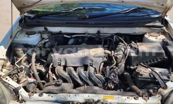 Nunua Ilio tumika Toyota Runx Nyingine Gari ndani ya Lusaka nchini Zambia Nunua Ilio tumika Toyota Runx Nyingine Gari ndani ya Lusaka nchini Zambia