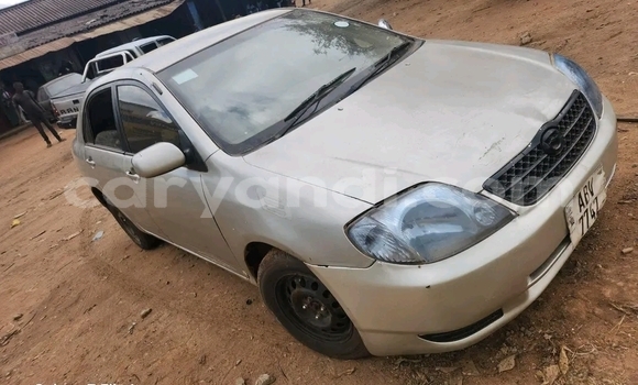 Buy Used Toyota Corolla Beige Car in Kitwe in Zambia