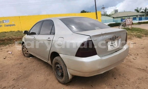 Buy Used Toyota Corolla Beige Car in Kitwe in Zambia Buy Used Toyota Corolla Beige Car in Kitwe in Zambia