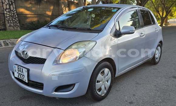 Buy Used Toyota Vitz Other Car in Lusaka in Zambia Buy Used Toyota Vitz Other Car in Lusaka in Zambia