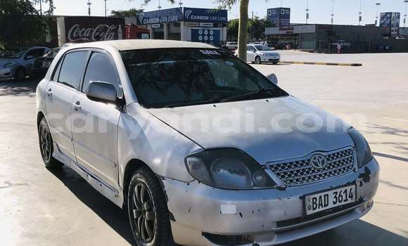 Buy Used Toyota Allex Other Car in Lusaka in Zambia