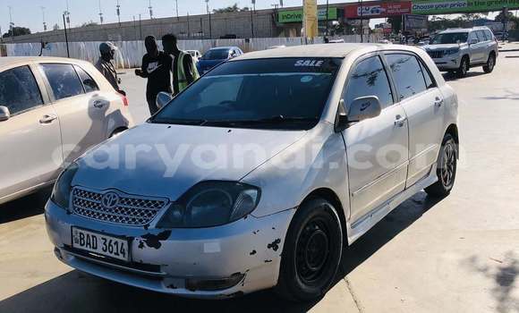 Buy Used Toyota Allex Other Car in Lusaka in Zambia Buy Used Toyota Allex Other Car in Lusaka in Zambia