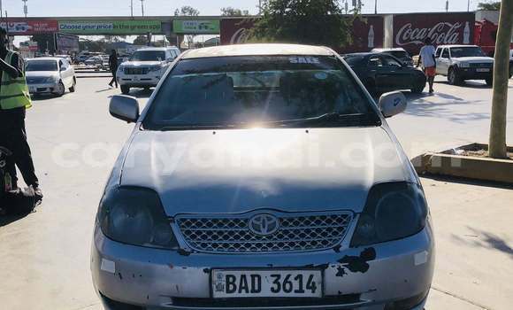 Buy Used Toyota Allex Other Car in Lusaka in Zambia Buy Used Toyota Allex Other Car in Lusaka in Zambia