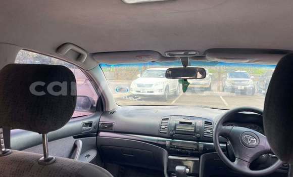 Buy Used Toyota Allion White Car in Lusaka in Zambia Buy Used Toyota Allion White Car in Lusaka in Zambia