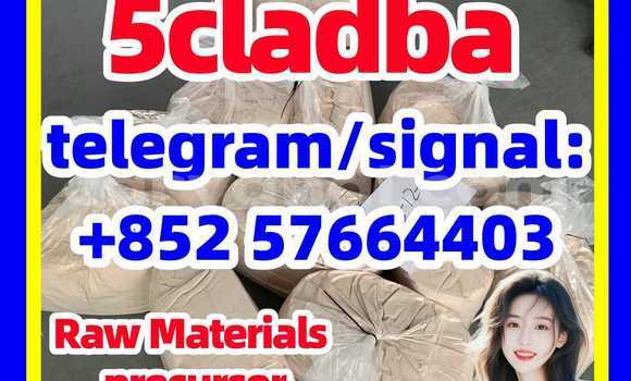 Medium with watermark 52
