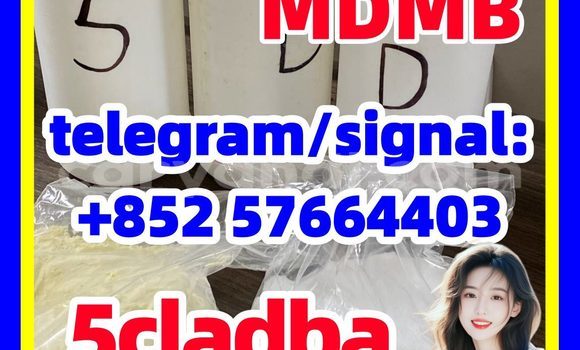 Medium with watermark 53