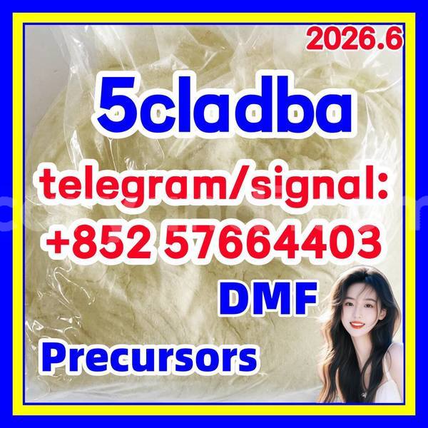 Big with watermark 54