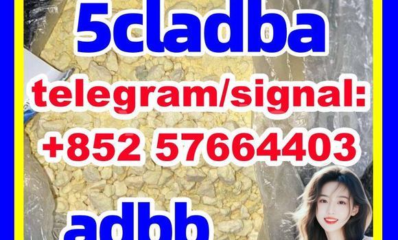 Medium with watermark 55
