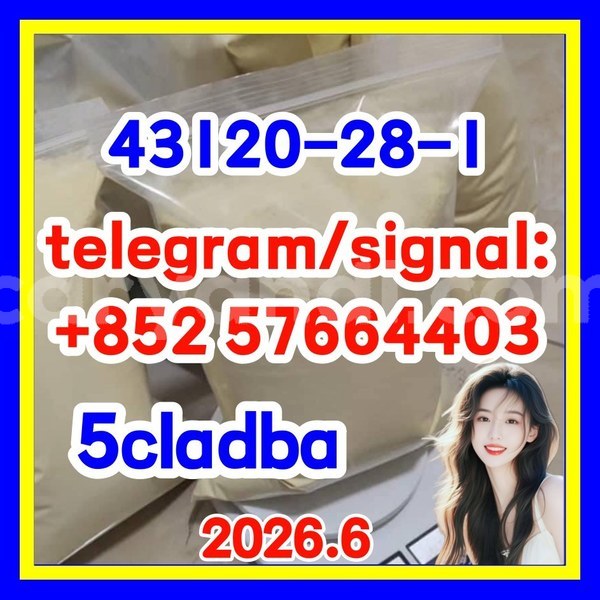 Big with watermark 511