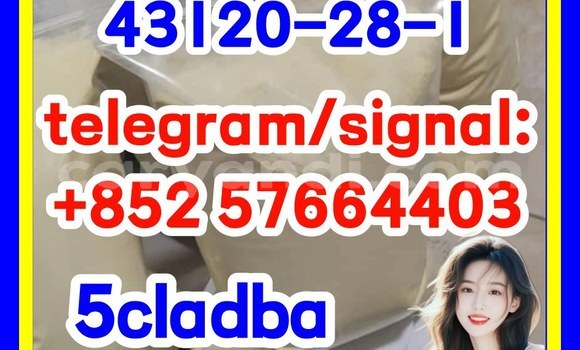 Medium with watermark 511