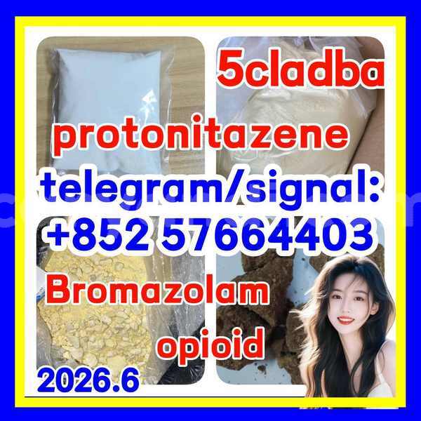 Big with watermark z1