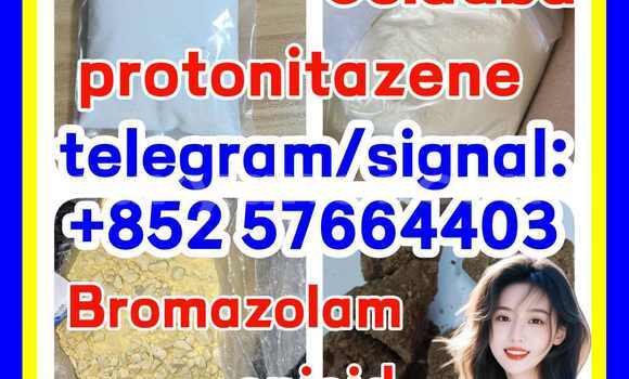 Medium with watermark z1