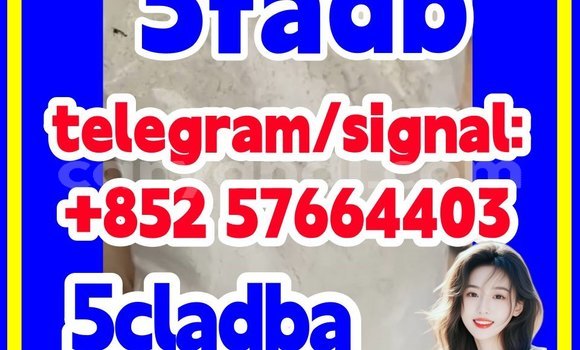 Medium with watermark 59