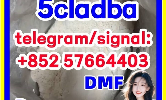 Medium with watermark 54