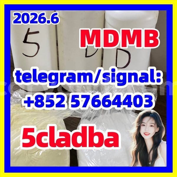 Big with watermark 55
