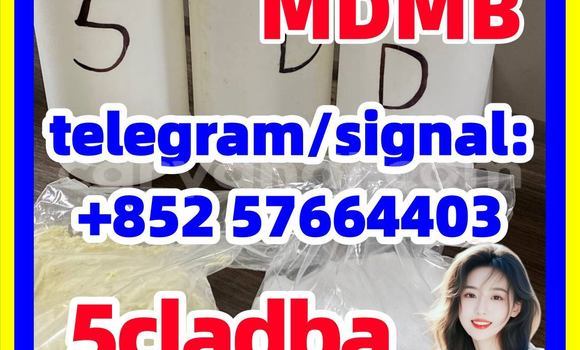 Medium with watermark 55