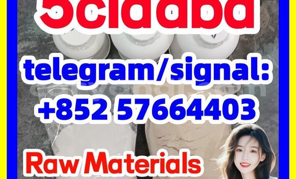Medium with watermark 58