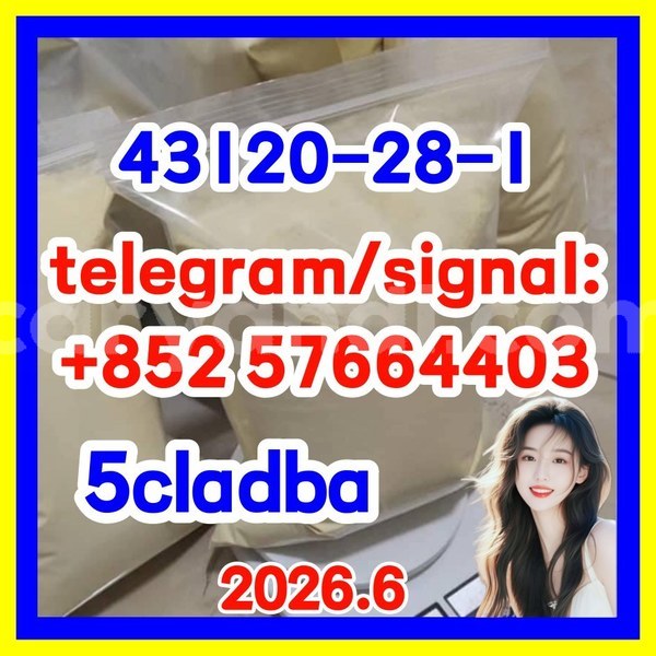 Big with watermark 511