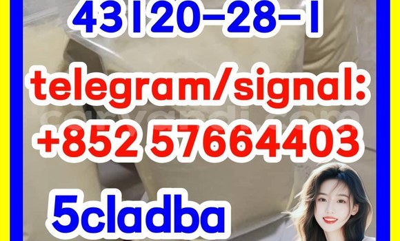 Medium with watermark 511
