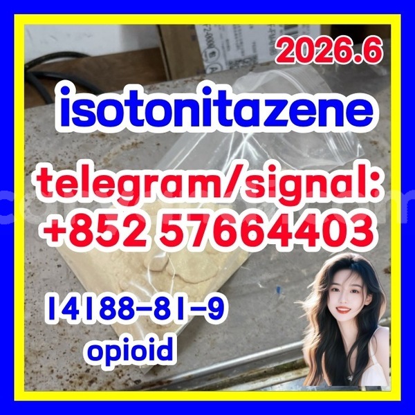 Big with watermark i1