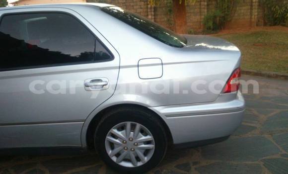 Tenga Tsaru Toyota 4Runner Sirivha Mota in Chingola in Zambia Tenga Tsaru Toyota 4Runner Sirivha Mota in Chingola in Zambia