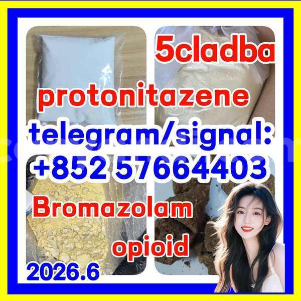 Big with watermark z1