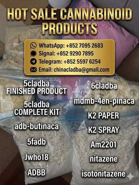 Big with watermark b331e3e6 b6d0 47bf a902 757a32e45556