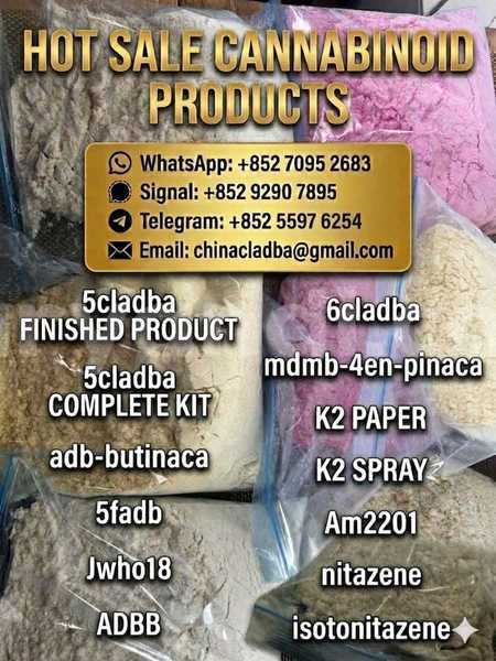 Big with watermark 717df170 5075 4cc6 8c16 574046a47e0c