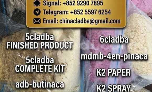 Medium with watermark f6d75492 eb9e 451f b474 4ed24f5d9823