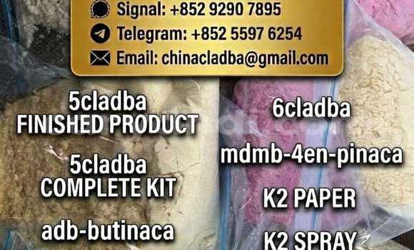 Medium with watermark 717df170 5075 4cc6 8c16 574046a47e0c