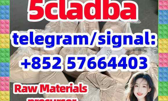Medium with watermark 56